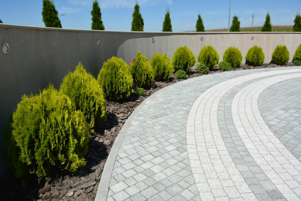 Trusted Paramount, CA Driveway Pavers Experts